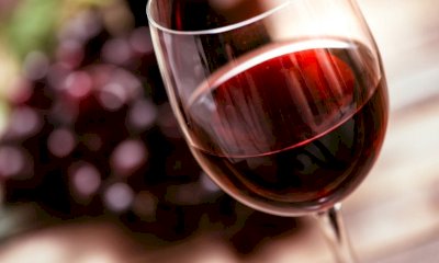 Vino, Coldiretti Cuneo: 