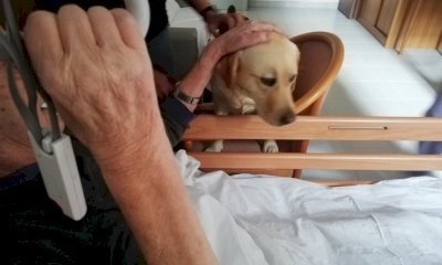 Un progetto di pet therapy all'hospice di Busca