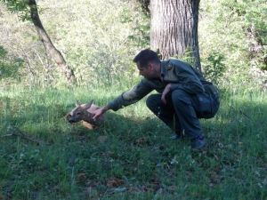 L’attività della Provincia per la tutela degli animali selvatici feriti o malati