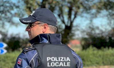 Abbandonano due cani a Montefallonio: denunciati