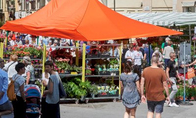 Savigliano per un giorno diventa la capitale dei profumi e dei colori con “Quintessenza” 2023