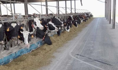 Cia Cuneo illustra le novità di Politica Agricola Comune e Sviluppo Rurale per la zootecnia