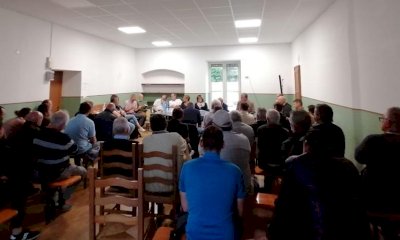 Peste suina africana, Saliceto entra in zona rossa infetta: è il primo Comune cuneese