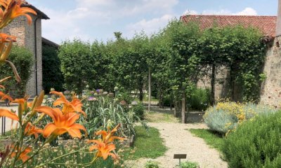 “Giornata dei Giardini delle Essenze” : le attività a Cherasco
