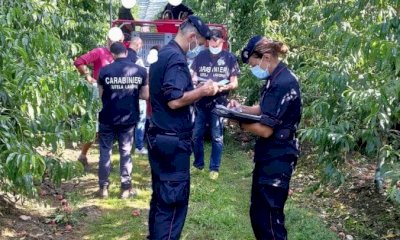 Controlli dei Carabinieri in quattro aziende agricole saluzzesi: sanzioni per 9 mila euro