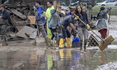 Una raccolta fondi per gli animali delle zone alluvionate dell'Emilia Romagna
