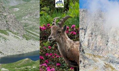 CleanAlp in valle Po: tre giorni di appuntamenti con il Parco del Monviso