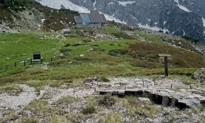 Al Parco del Marguareis, la Burnat-Bicknell ti aspetta!