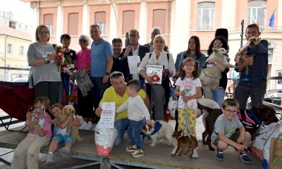 “Nen mac tabui”, una festa per i cani meticci e non a Saluzzo
