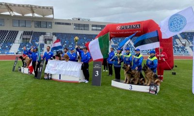 Sono italiani i migliori cani da soccorso del mondo