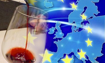 Bandi e finanziamenti agevolati per il settore vitivinicolo: tutte le novità per le imprese