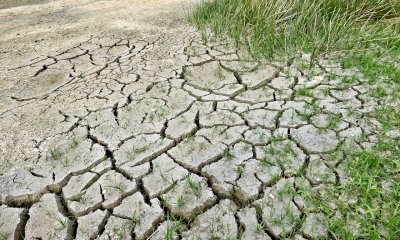 Approvato il decreto “Siccità”: una cabina di regia per invasi e opere idriche