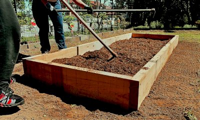 Un orto per promuovere la salute mentale