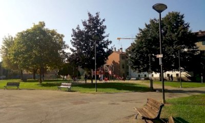 Alberi abbattuti a Saluzzo, un lettore: 