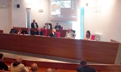 Cia Cuneo: “L’abbattimento dei cinghiali è iniziato, ma servono interventi  più veloci”