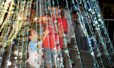 “L’albero racconta”: spettacoli e laboratori per famiglie nel cortile della Maddalena di Alba