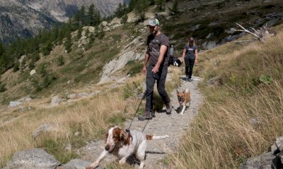 L'appello del Parco Alpi Marittime agli escursionisti: 