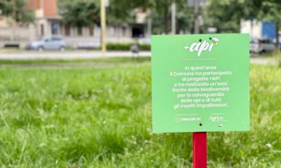 A Saluzzo ha aperto una nuova oasi per le api