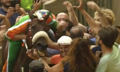 Palio di Siena, trionfa la Selva “amica” di Cuneo