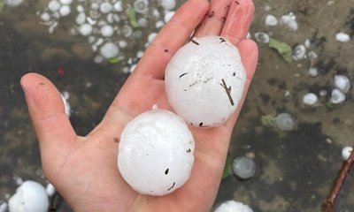 Maltempo, Coldiretti Cuneo: 