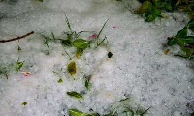 Grandinate, anche l'Associazione Comuni del Moscato chiede lo stato di calamità naturale