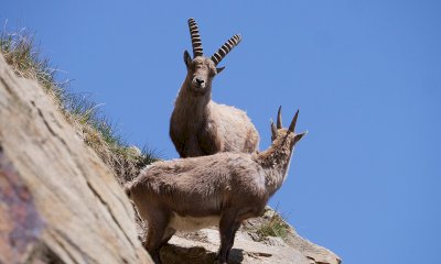 Il 13 luglio la “Scimmia ubriaca” inaugura la rassegna “I giovedì del Parco 2023”