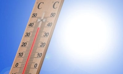 Il picco dell’ondata di calore nei prossimi giorni: a Cuneo 41 gradi percepiti