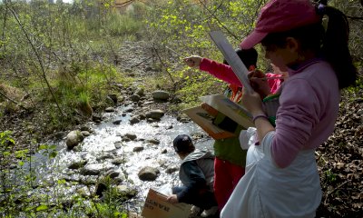 Avventure estive nel Parco fluviale Gesso e Stura: giovani esploratori alla scoperta della fauna selvatica
