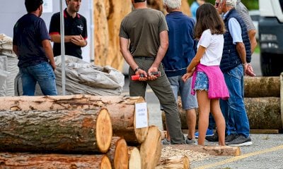 Legno, Frisona e frutta al centro della Mostra Nazionale della Meccanica Agricola di Saluzzo 2023