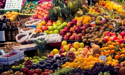 La Dieta Mediterranea: Benefici per la Salute, Ricette deliziose e Consigli per una Vita più Sana