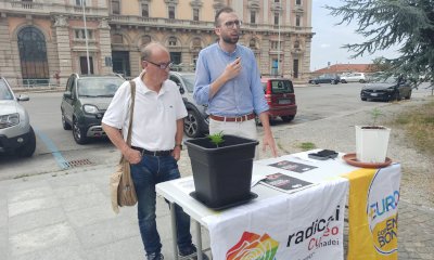 Dalla legalizzazione al