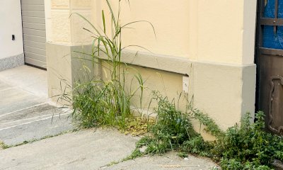Cuneo: nella giungla di via Luigi Gallo