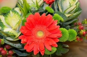 Bra: laboratorio di composizione floreale
