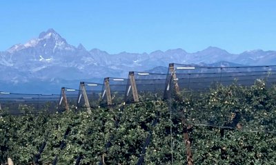 “Il Distretto del Cibo della Frutta è un’opportunità per rilanciare il settore”