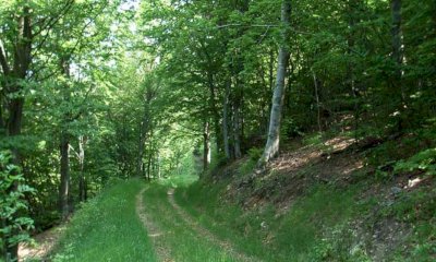 Cia Cuneo: “Il bando regionale sulla viabilità di accesso agli alpeggi aiuta le aziende agricole”