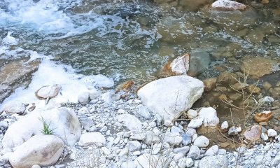 Morìa di pesci nel Vermenagna a Limone, i risultati degli esami dell'Arpa