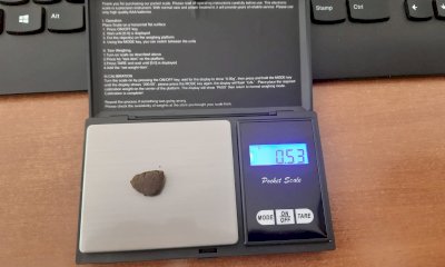 Controlli della Polizia Locale a Cuneo, sequestrati alcuni grammi di hashish nei giardini di corso Dante