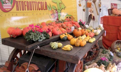 Dall'8 al 10 settembre la Mostra Regionale Ortofrutticola “Città di Cuneo”