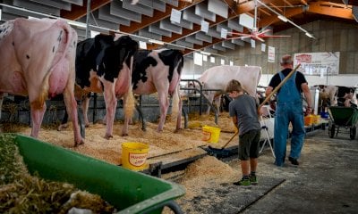 Oggi il gran finale della Mostra della Meccanica Agricola di Saluzzo 2023