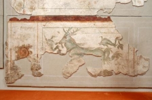 Il Museo civico “F. Eusebio” festeggia 120 anni!