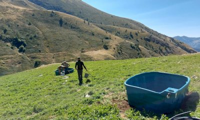 Lavori in corso nel territorio del Parco Alpi Marittime