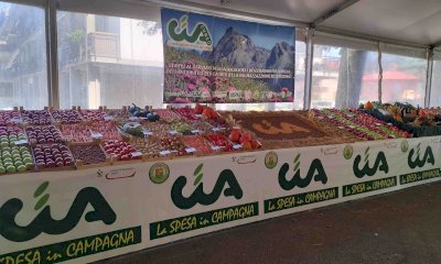 Cia Cuneo alla vetrina della Mostra Regionale Ortofrutticola di San Rocco Castagnaretta 