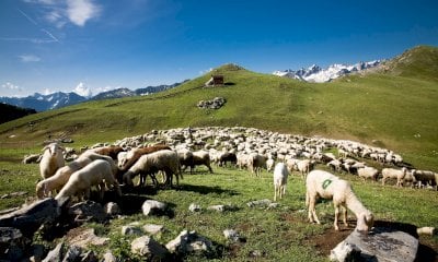 L’Italia scivola a valle. Ma la montagna può vivere 365 giorni all’anno