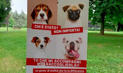 Cuneo, sui “regalini” dei cani ora si fa sul serio: il Comune annuncia nuovi controlli