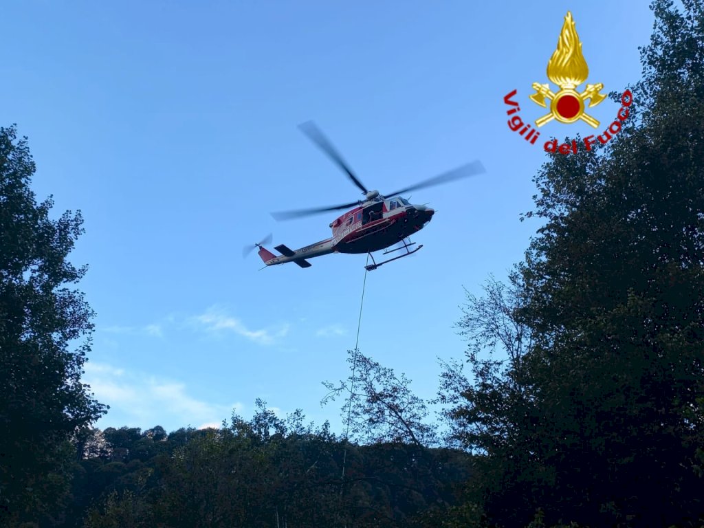 L'elicottero dei Vigili del Fuoco interviene per recuperare bovini in difficoltà