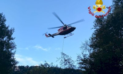 L'elicottero dei Vigili del Fuoco interviene per recuperare bovini in difficoltà