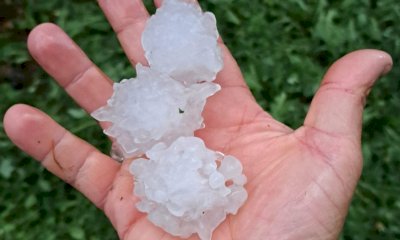 Eventi calamitosi, Confagricoltura Piemonte: “Occorre rivedere i meccanismi a sostegno degli agricoltori”