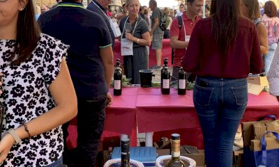 Alba, è il giorno della Festa del Vino di Go Wine
