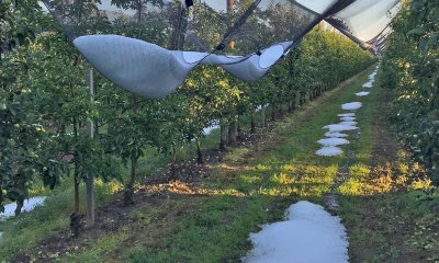 “Polizze monorischio per ridurre i costi, superare i ritardi e far fronte ai cambiamenti climatici”
