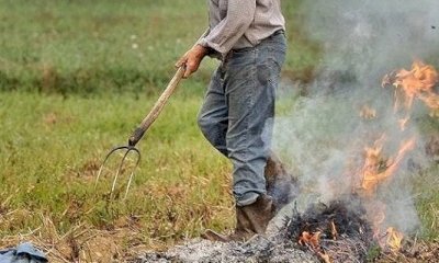 Confagricoltura Piemonte: “Occorre rinviare il divieto di abbruciamento”